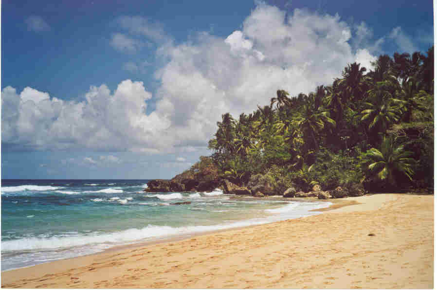 caba05